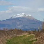 Porticciolo 3*
