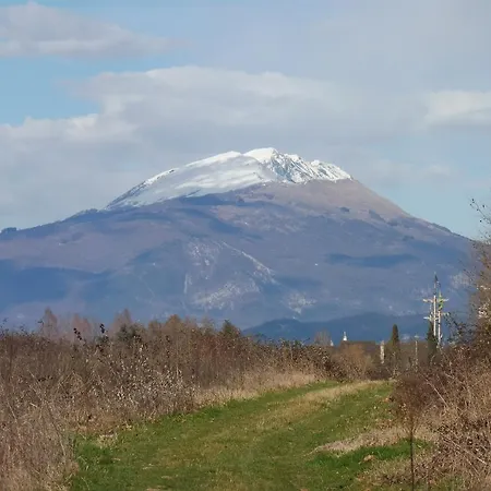 Porticciolo 3*